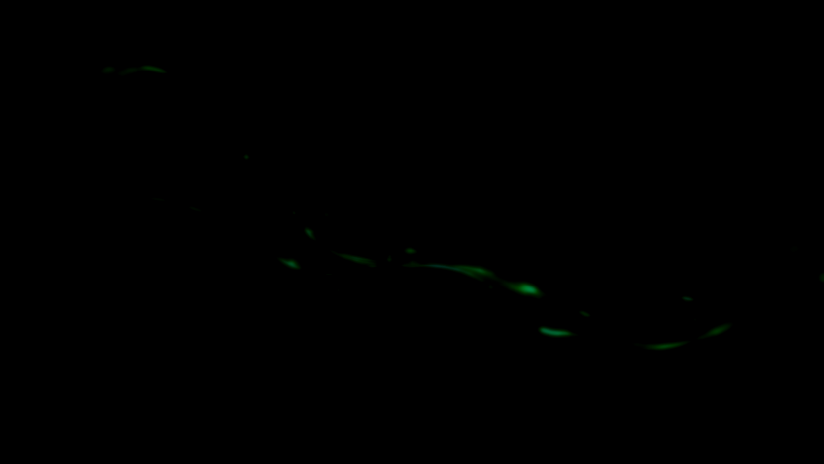 A softened emerald current — raw signal resolving into insight